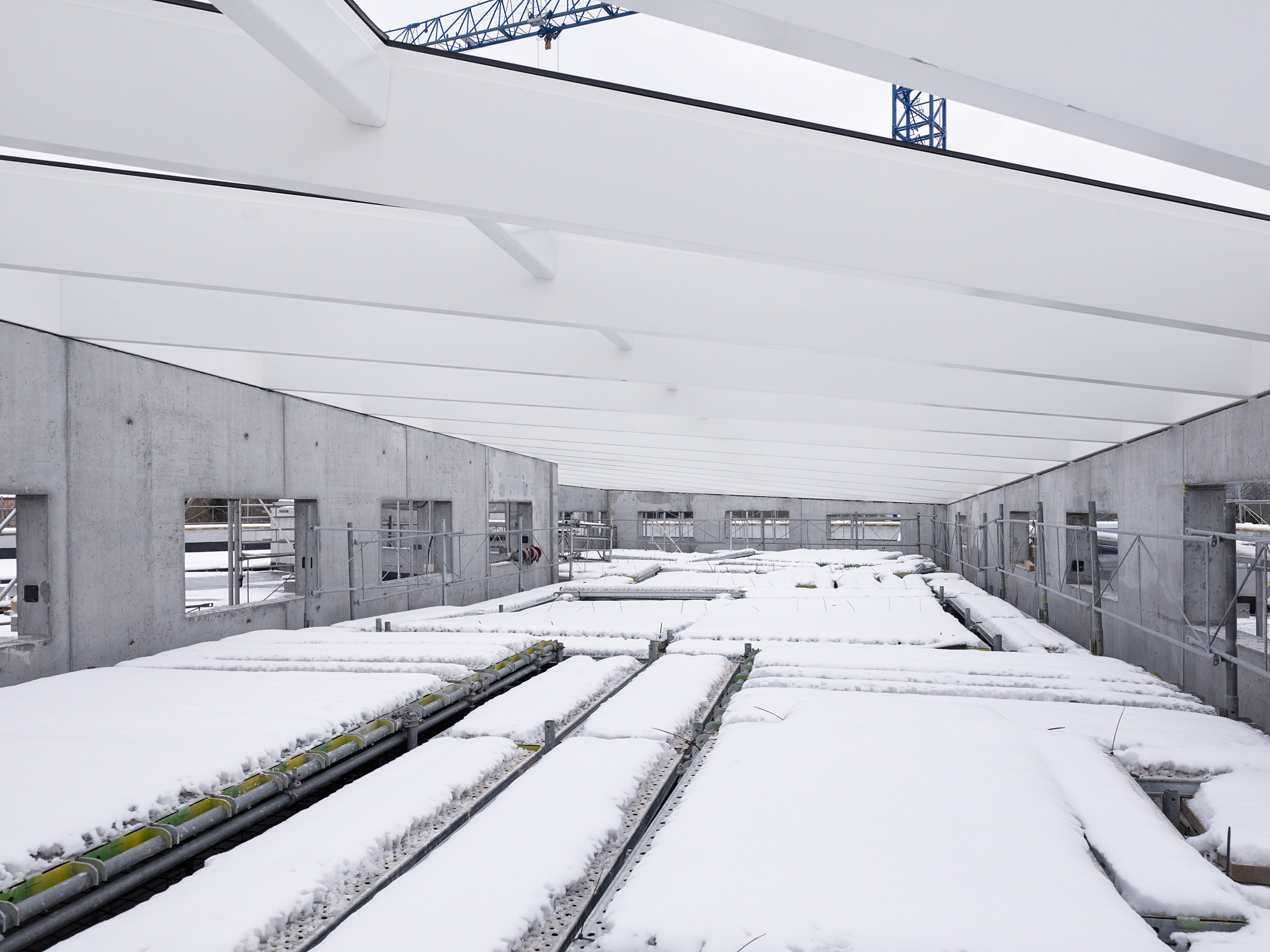 E15541 Alpa 049176 SCREEN